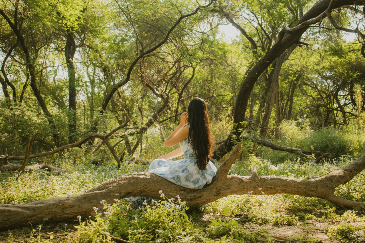 A woman sits on a fallen tree in a lush, sunlit forest, enjoying nature's beauty.